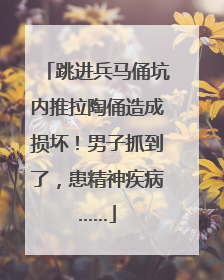 跳进兵马俑坑内推拉陶俑造成损坏！男子抓到了，患精神疾病……