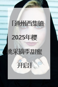 通州西集镇2025年樱桃采摘季甜蜜开启