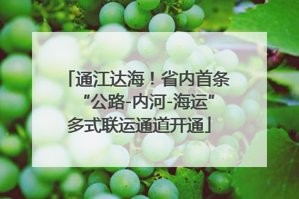 通江达海！省内首条“公路-内河-海运”多式联运通道开通