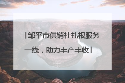 邹平市供销社扎根服务一线，助力丰产丰收
