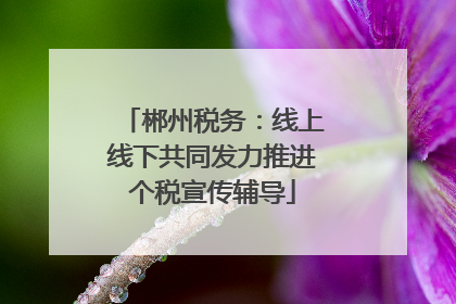 郴州税务：线上线下共同发力推进个税宣传辅导