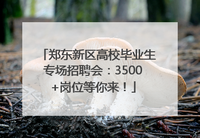 郑东新区高校毕业生专场招聘会：3500+岗位等你来！