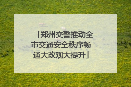 郑州交警推动全市交通安全秩序畅通大改观大提升