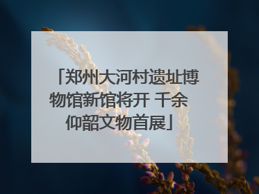 郑州大河村遗址博物馆新馆将开 千余仰韶文物首展