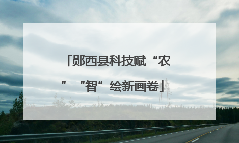 郧西县科技赋“农”“智”绘新画卷