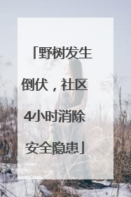 野树发生倒伏，社区4小时消除安全隐患