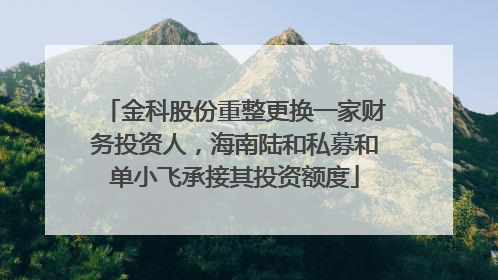 金科股份重整更换一家财务投资人，海南陆和私募和单小飞承接其投资额度