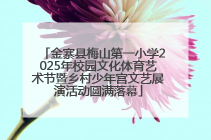 金寨县梅山第一小学2025年校园文化体育艺术节暨乡村少年宫文艺展演活动圆满落幕