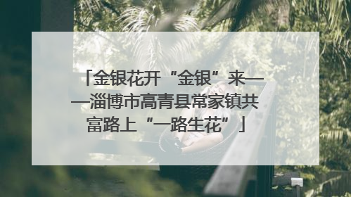 金银花开“金银”来——淄博市高青县常家镇共富路上“一路生花”