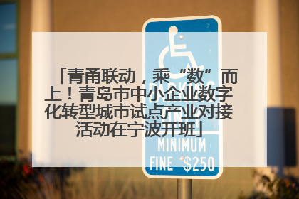 青甬联动，乘“数”而上！青岛市中小企业数字化转型城市试点产业对接活动在宁波开班