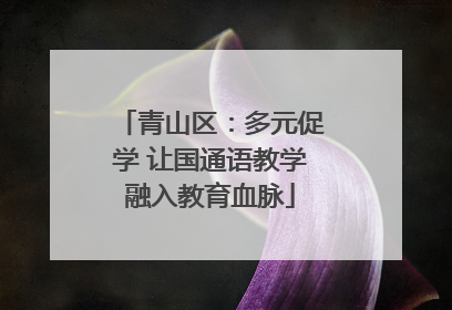 青山区：多元促学 让国通语教学融入教育血脉