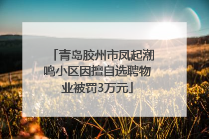青岛胶州市凤起潮鸣小区因擅自选聘物业被罚3万元