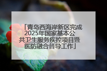 青岛西海岸新区完成2025年国家基本公共卫生服务疾控项目暨医防融合督导工作