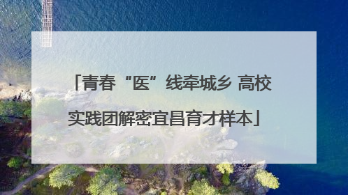 青春“医”线牵城乡 高校实践团解密宜昌育才样本