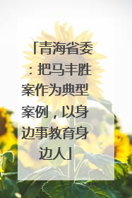 青海省委：把马丰胜案作为典型案例，以身边事教育身边人