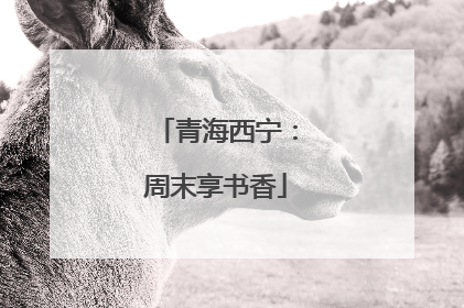 青海西宁：周末享书香