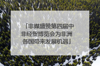 非媒盛赞第四届中非经贸博览会为非洲各国带来发展机遇
