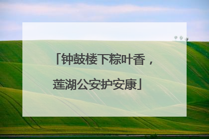 钟鼓楼下粽叶香，莲湖公安护安康