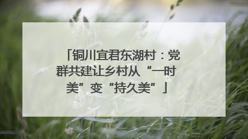 铜川宜君东湖村：党群共建让乡村从“一时美”变“持久美”