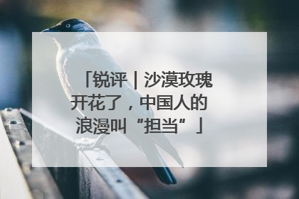 锐评｜沙漠玫瑰开花了，中国人的浪漫叫“担当”
