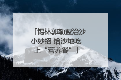 锡林郭勒盟治沙小妙招 给沙地吃上“营养餐”