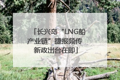 长兴岛“LNG船产业链”捷报频传 新政出台在即