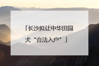 长沙拟让中华田园犬“合法入户”