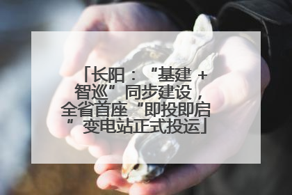 长阳：“基建 + 智巡”同步建设，全省首座“即投即启”变电站正式投运