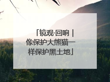 镜观·回响｜像保护大熊猫一样保护黑土地