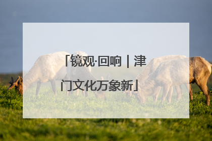 镜观·回响｜津门文化万象新