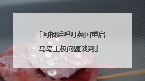 阿根廷呼吁英国重启马岛主权问题谈判