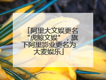 阿里大文娱更名“虎鲸文娱”，旗下阿里影业更名为大麦娱乐