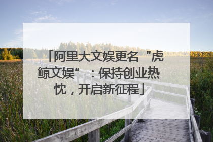 阿里大文娱更名“虎鲸文娱”：保持创业热忱，开启新征程