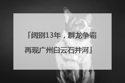 阔别13年，群龙争霸再现广州白云石井河