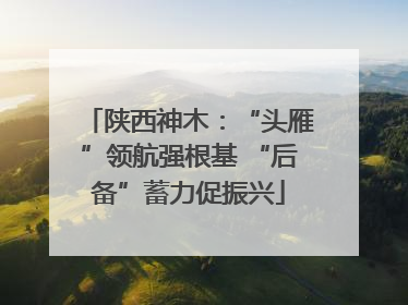陕西神木：“头雁”领航强根基 “后备”蓄力促振兴