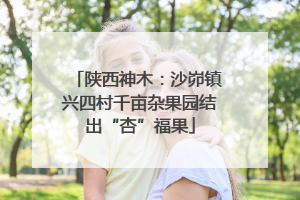 陕西神木：沙峁镇兴四村千亩杂果园结出“杏”福果