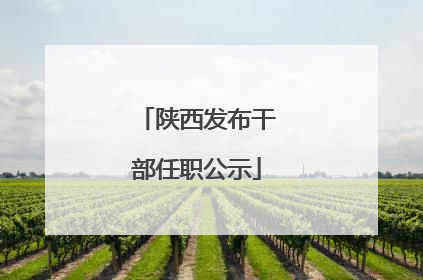 陕西发布干部任职公示