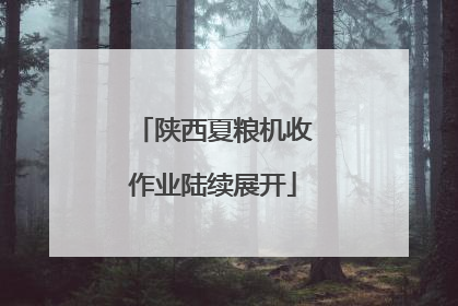 陕西夏粮机收作业陆续展开