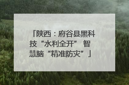 陕西：府谷县黑科技“水利全开” 智慧脑“精准防灾”
