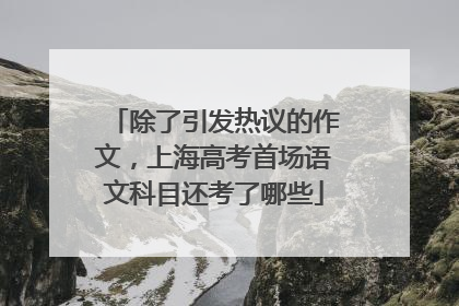 除了引发热议的作文，上海高考首场语文科目还考了哪些