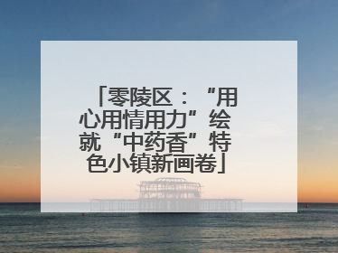零陵区：“用心用情用力”绘就“中药香”特色小镇新画卷