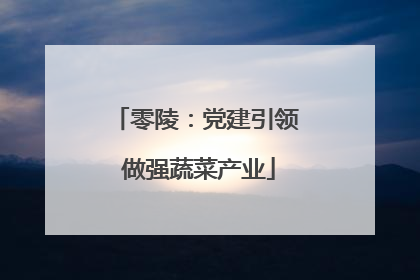 零陵：党建引领 做强蔬菜产业