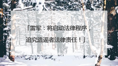 雷军：将启动法律程序，追究造谣者法律责任！