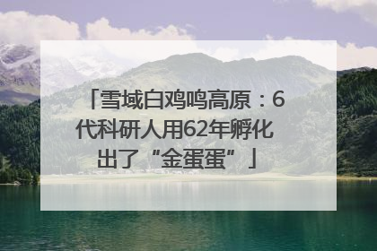 雪域白鸡鸣高原：6代科研人用62年孵化出了“金蛋蛋”