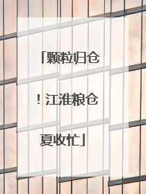 颗粒归仓！江淮粮仓夏收忙