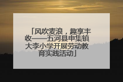 风吹麦浪，趣享丰收——五河县申集镇大李小学开展劳动教育实践活动