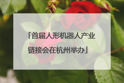 首届人形机器人产业链接会在杭州举办