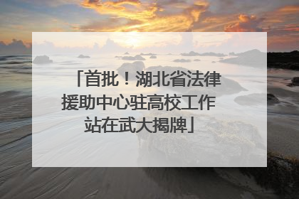 首批！湖北省法律援助中心驻高校工作站在武大揭牌