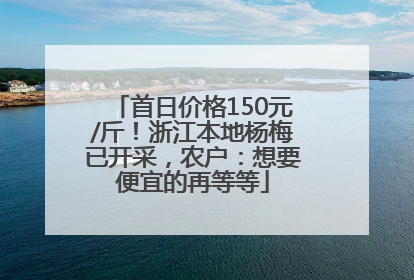 首日价格150元/斤！浙江本地杨梅已开采，农户：想要便宜的再等等