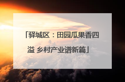 驿城区：田园瓜果香四溢 乡村产业谱新篇